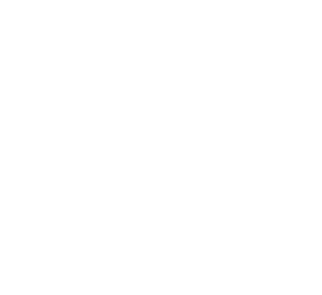 SVVY